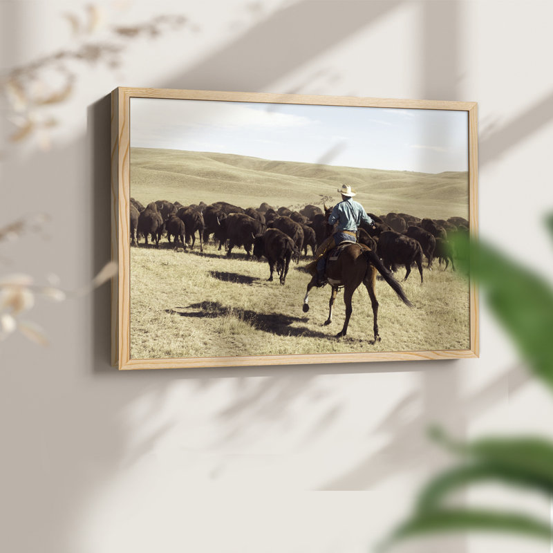 Bison Roundup -Framed Print - Restickable