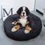 Hutto Bolster Cushion-1867755969-1867755975