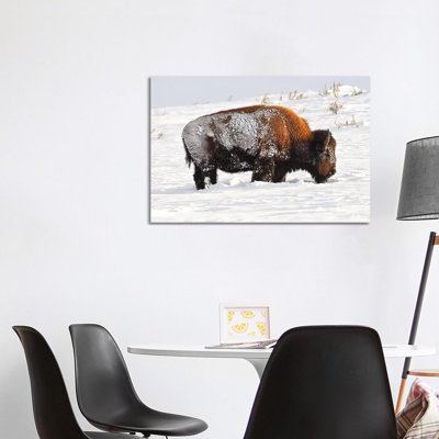 Trying To Survive by Brian Wolf - Wrapped Canvas Print