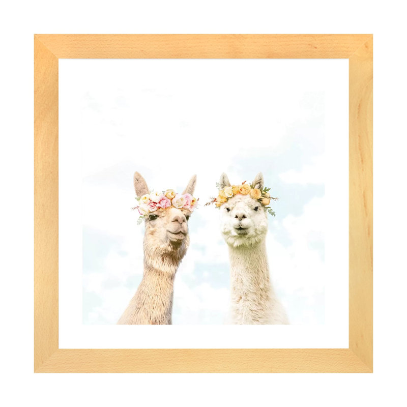 «Alpacas in Bloom» par Erin Summer - reproduction de photo, Toile avec cadre en bois beige, Blanc, H 16 po x l 16 po x p 1 po