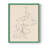 Fruit Contour Study II Framed Print - Solid Wood-586486340-586486341