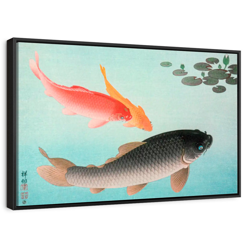 Carpe commune et dorée, 25 po x 17 po, Cadre flottant noir