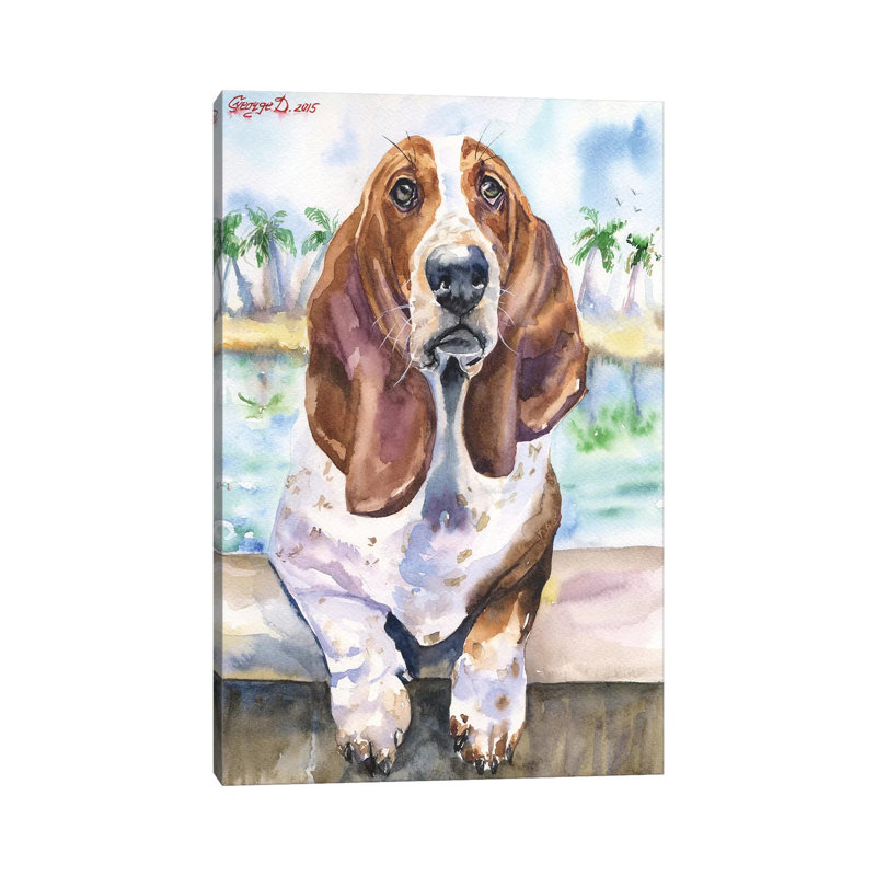 Basset IV by George Dyachenko - Wrapped Canvas Print, 20.32 cm H x 30.48 cm W