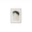 Espira Framed Print