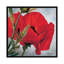 « the red popy », reproduction sur toile-29089364-72778886-72778887
