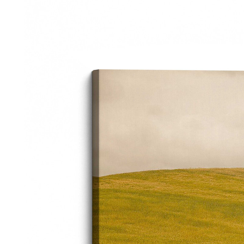 «Tuscan Fields», reproduction sur toile, Toile tendue, H 24 po x l 36 po x P 1,25 po
