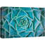 Succulent «Vibrant Blue Green Haworthia Succulent» sur toile-99543418