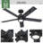 Hunter 52 Inch Erling ENERGY STAR® Ceiling Fan With Lights And Remote-102498243-102498246