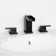 Widespread 2-handle Bathroom Faucet