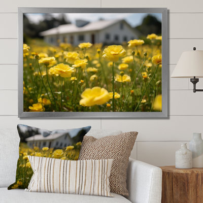 " Yellow Buttercups At The Farm II "