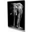 «African Elephant in Black Artwork», reproduction d'impression-29496716