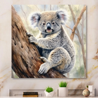 " Koala Serenity II "