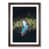 Walnut Framed selected