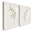 Spindle Sprig III - ensemble de 2 reproductions de cadres photo-751786828-751786829