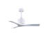 Nan 42" Ceiling Fan In Blades-1662758410-1611395847