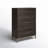 Briner 38'' W 5 - Drawer Dresser