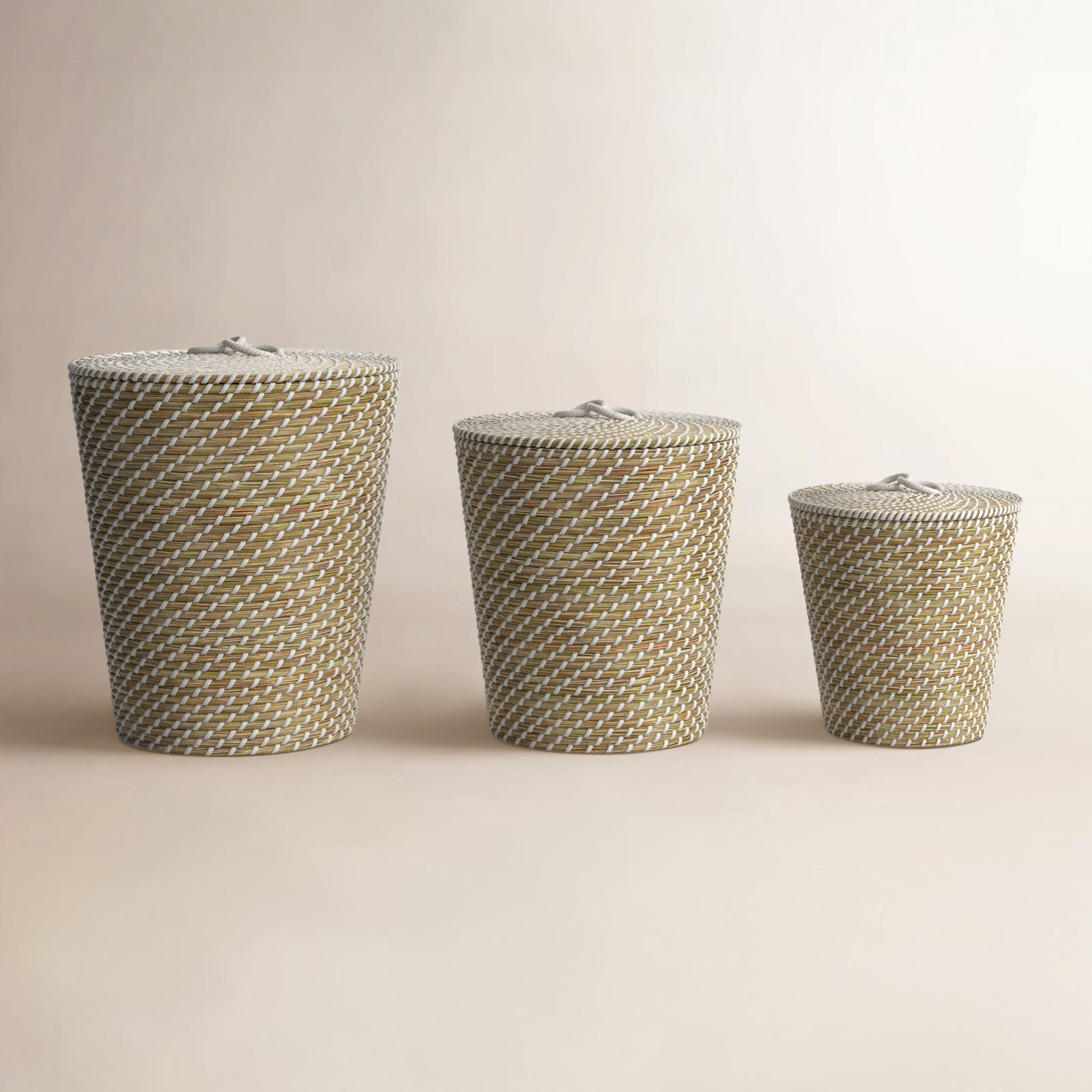 Seagrass Decorative Basket 3