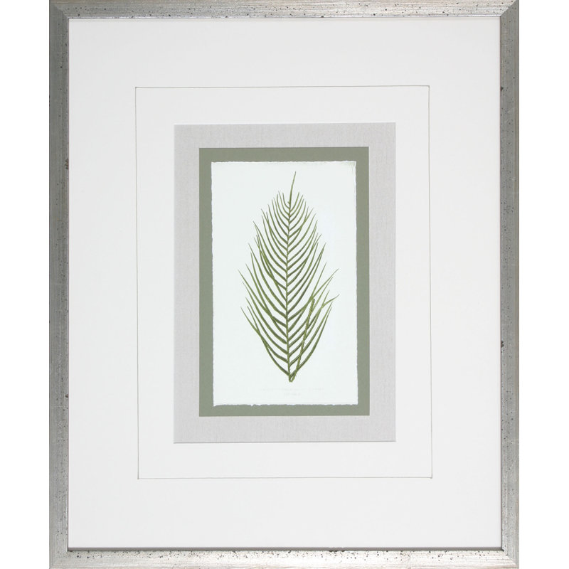 Fern3 - Cadre photo, impression sur papier