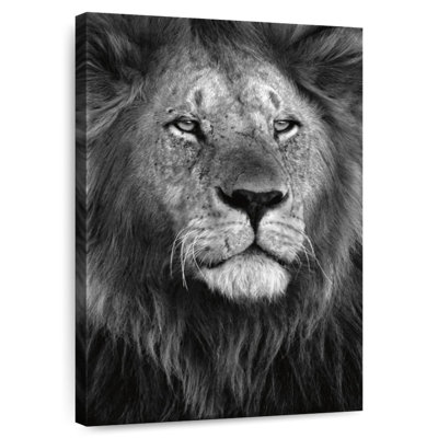 Fierté du lion