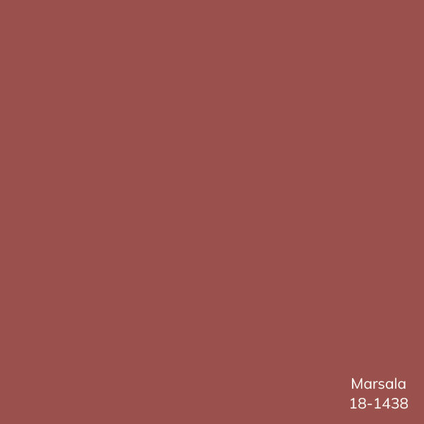Edgar Pillow Cover, Polyester/Polyfill, Brick Red, Square 20"