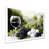 Single Picture Framed Print without Mat sélectionné