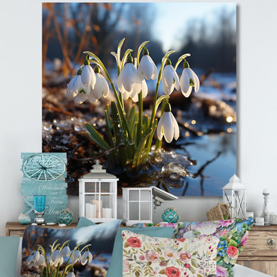 Morning Hush Snowdrops In Silent White IV - Snowdrops, art mural