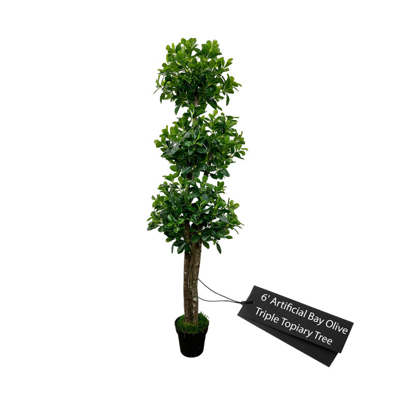 Topiaire vert olive fabriqué à la main avec bois véritable, H 72 po x l 30 po x P 30 po