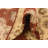 Olson Burgundy Rug