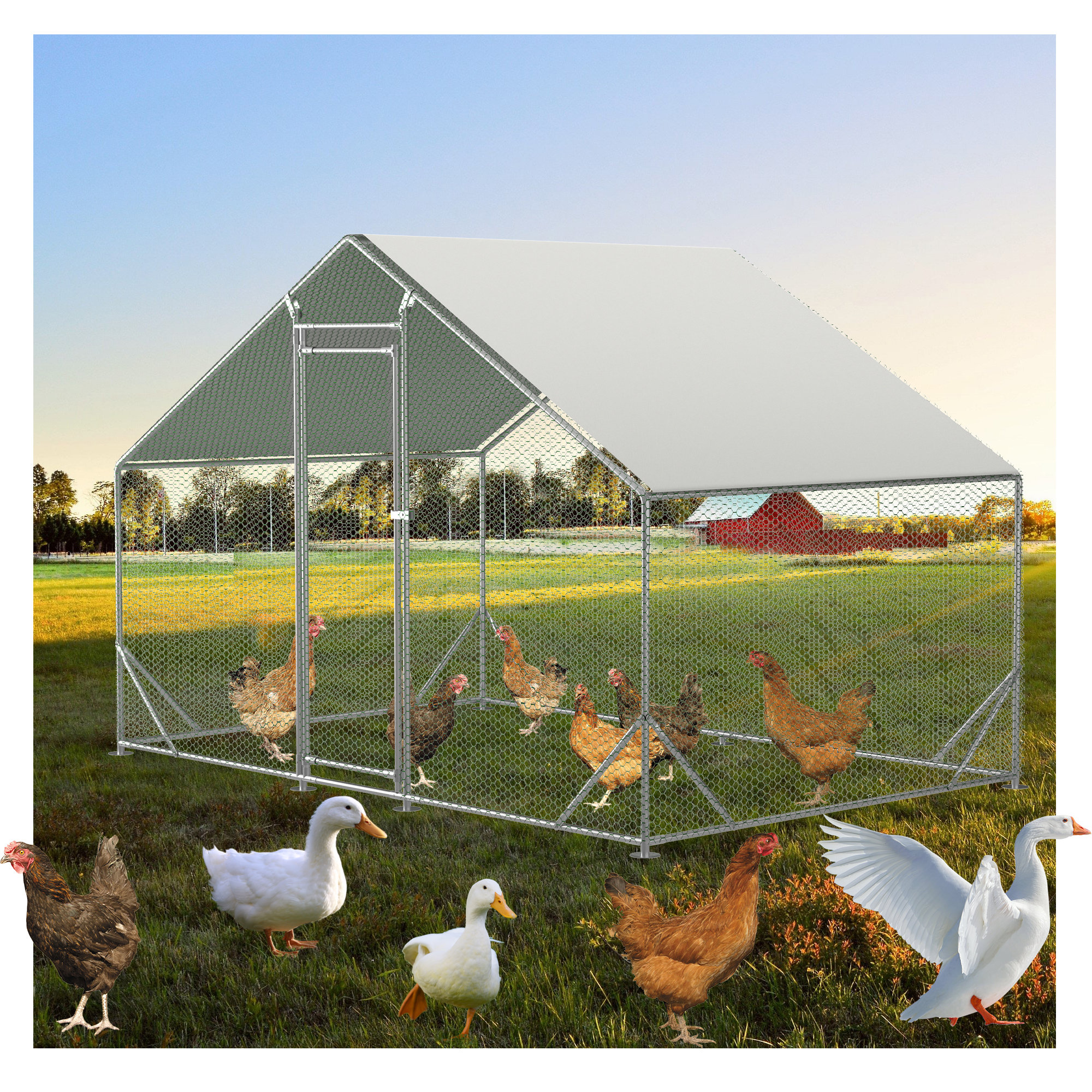 Ceilidh Metal Chicken Run Coop, Walk-In Poultry Cage with Waterproof & Anti-UV Cover Lockable Door Design Tucker Murphy Pet Size: 79 H x 119 W x 79