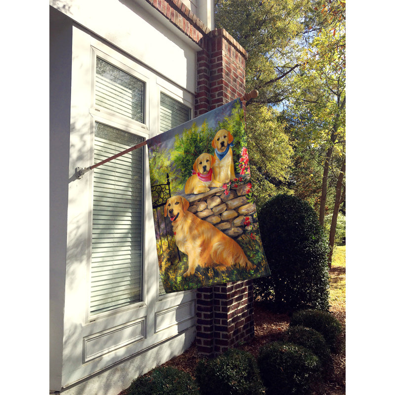 Drapeau de maison Hvidovre Sheltie Halloween en polyester à 2 faces 3 x 2 pi, Golden retriever à la porte