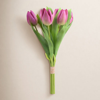 Tulip Stems