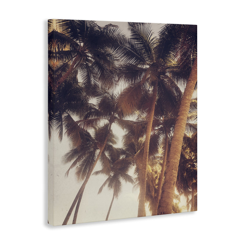 Art mural en toile Sunlit Palm Tree par Acosta, H 40 po x l 30 po