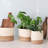 Rosecliff Heights Savar Decorative Basket