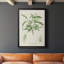 Amande antique botanique III-88436833-88436836
