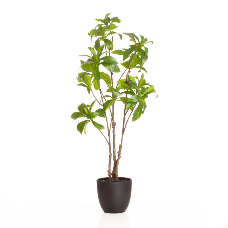 68cm Faux Real Touch Pieris Tree