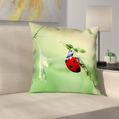Myriam  Ladybug Double Sided Print Zipper Square Pillow Cover