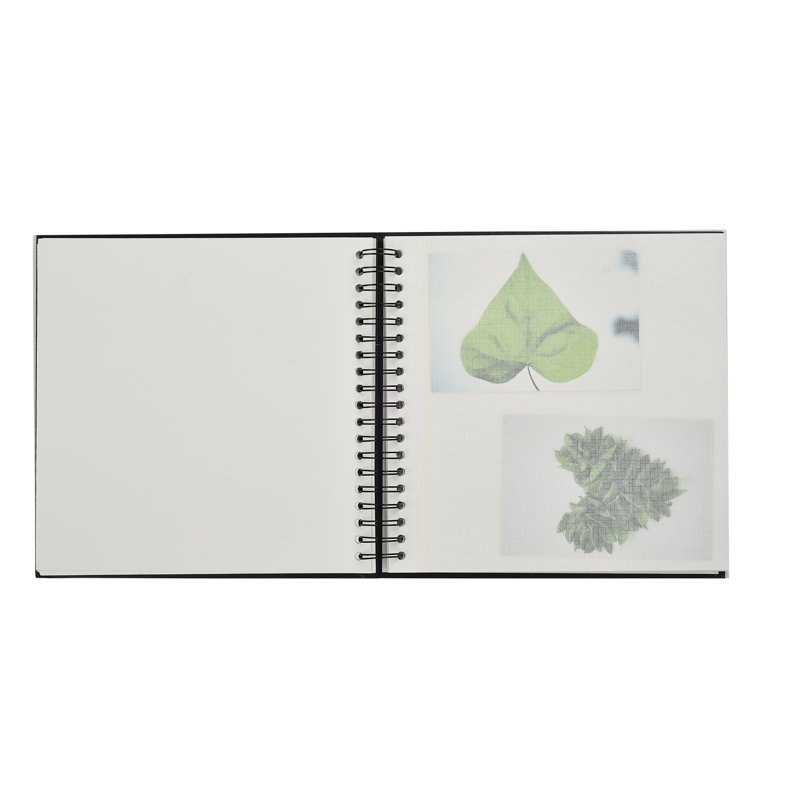 Paper Plants & Flowers Scrapbook, Black