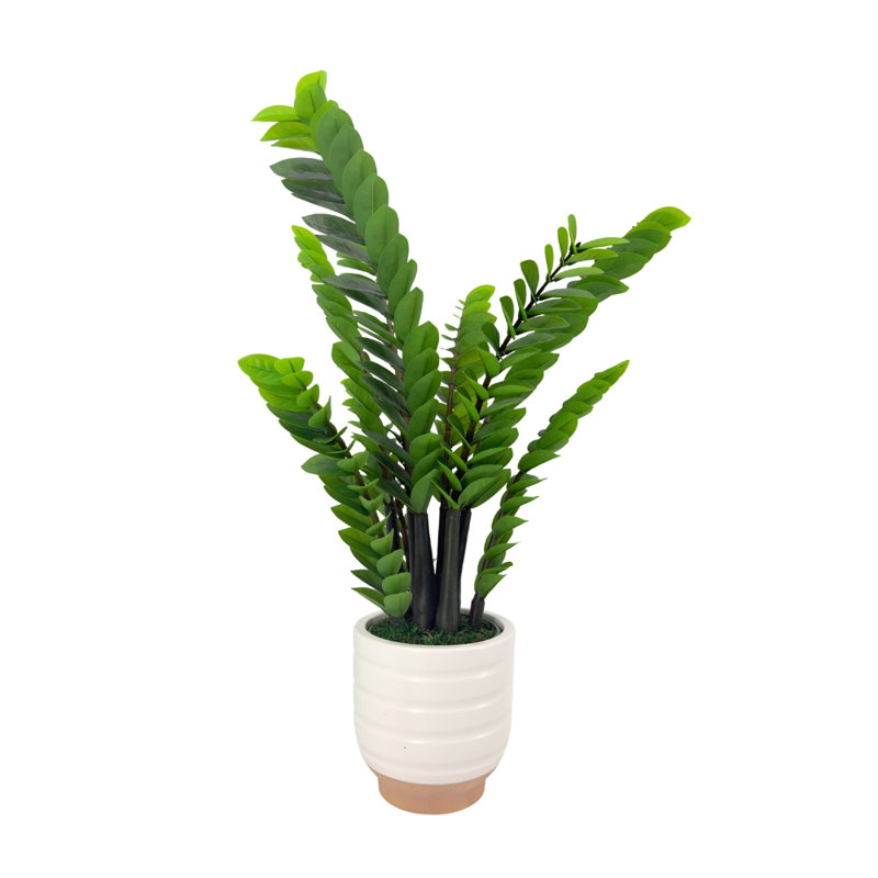 40" ZZ Plant in Matte White Ceramic