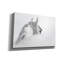«White Horse» par PhotoINC Studio-62237033
