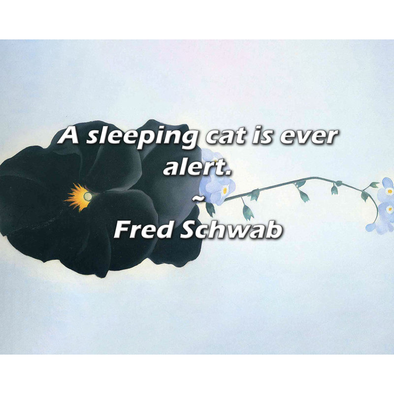 Citation de Fred Schwab: Un chat endormi est toujours en alerte., H 15 po x l 18 po