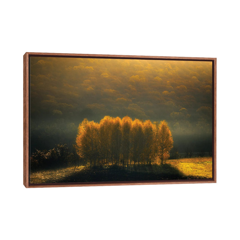 Morning Light by Anghel Rusu - Print on Canvas
