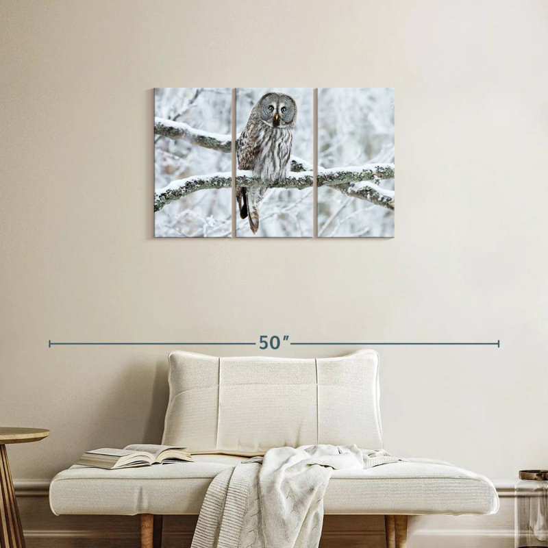 Great Grey Winter Owl, 20" H x 33" W