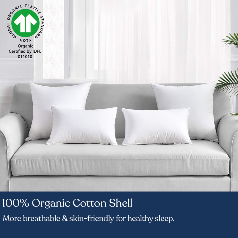 Delara Premium Organic Cotton Throw Pillow Inserts (Set of 2), Down-Proof Cover with 100% White Duck Feather Filling