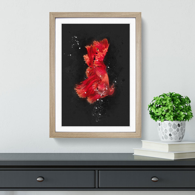 Red Siamese Fighting Fish - Picture Frame Graphic Art Print, Oak Framed, 87cm H x 62cm W x 2cm D