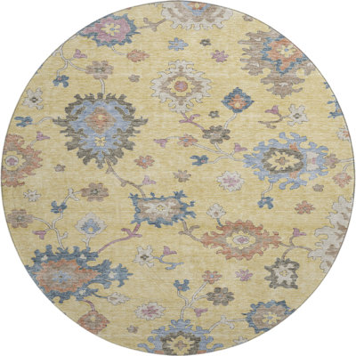 Premium Machine Washable Jaylin AMF1218 Global Rug