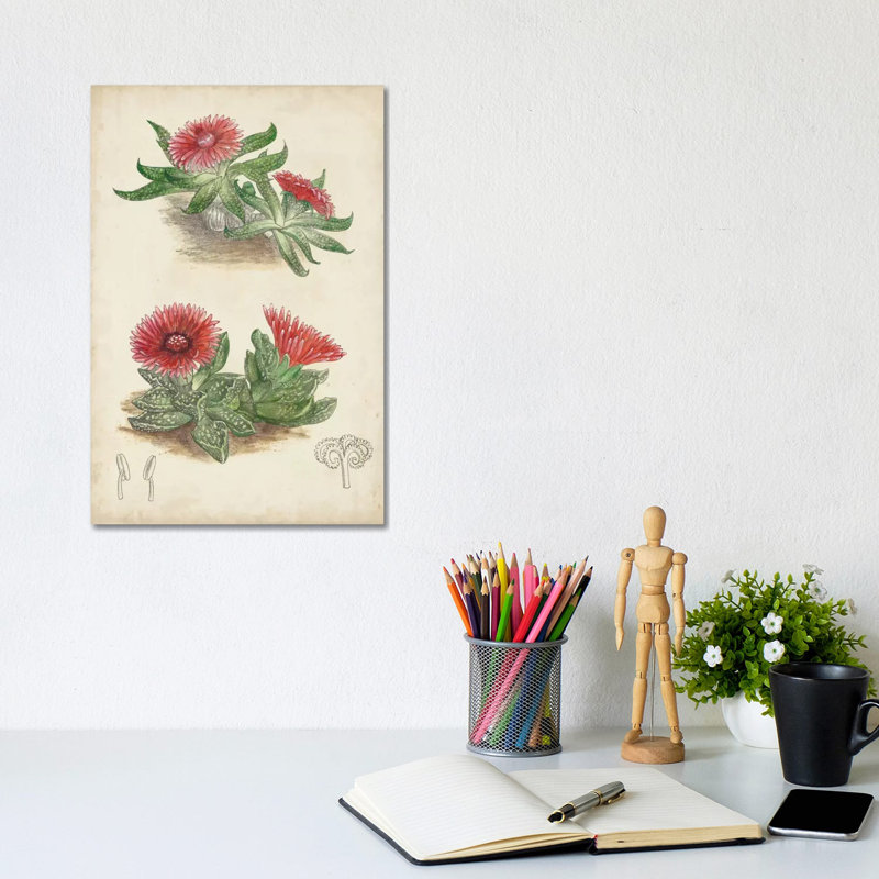 Curtis - Wrapped Canvas Print, 20.32 cm H x 30.48 cm W