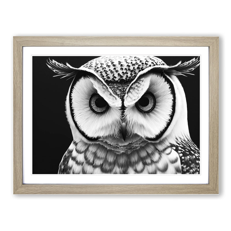 XH1022-6554X Owl Portrait Monochrome Vol.6 - Single Picture Frame Print, 46cm H x 64cm W, Grey