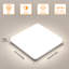 Darrant Acrylic LED Flush Mount