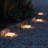 Natural Low Voltage Battery Powered Integrated LED Acrylic Pathway Light