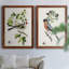 Oiseau antique, botanique et œuf II, toile encadrée de qualité supérieure - prête à être accrochée-1959763556-1959763557